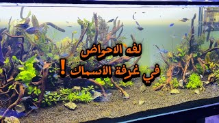 S6E91 - لفة علي الأحواض في غرفة الأسماك الخاصة بي ❤️🥰