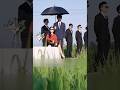 Roses Hidden in the Evening Breeze #shortdrama #drama #movie