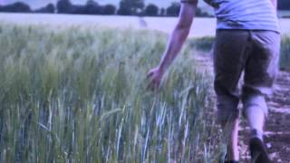 Gladiator wheat scene - remake