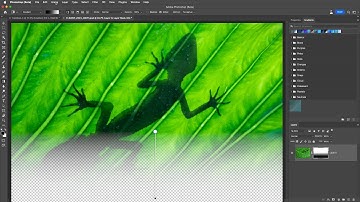 Discover the Updated Gradient Tool in Photoshop