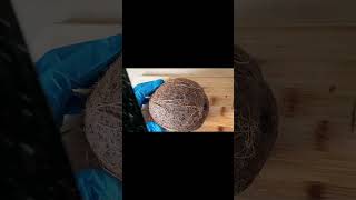 Coconut and Male Reproductive Health | Hormones & Energy Explained 🥥