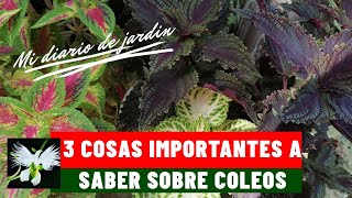 3 things you should know about COLEOS, my garden diary.