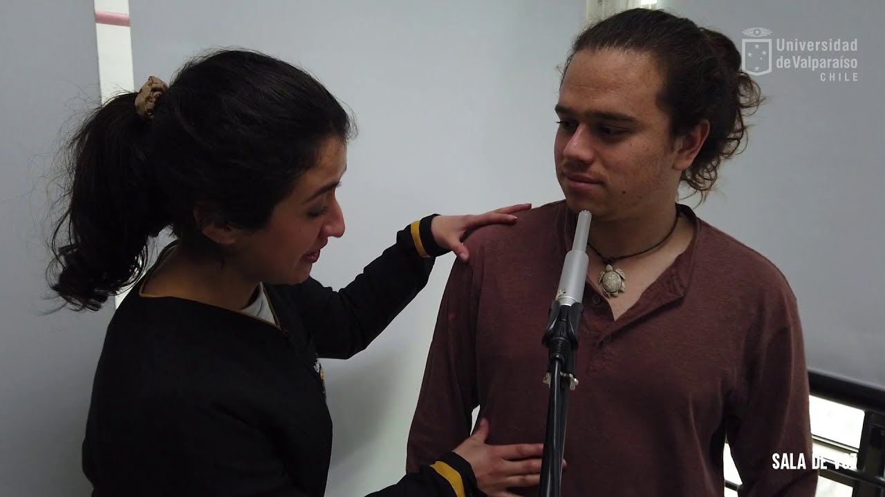 uva en ingles Fonoaudiología, Universidad de Valparaíso