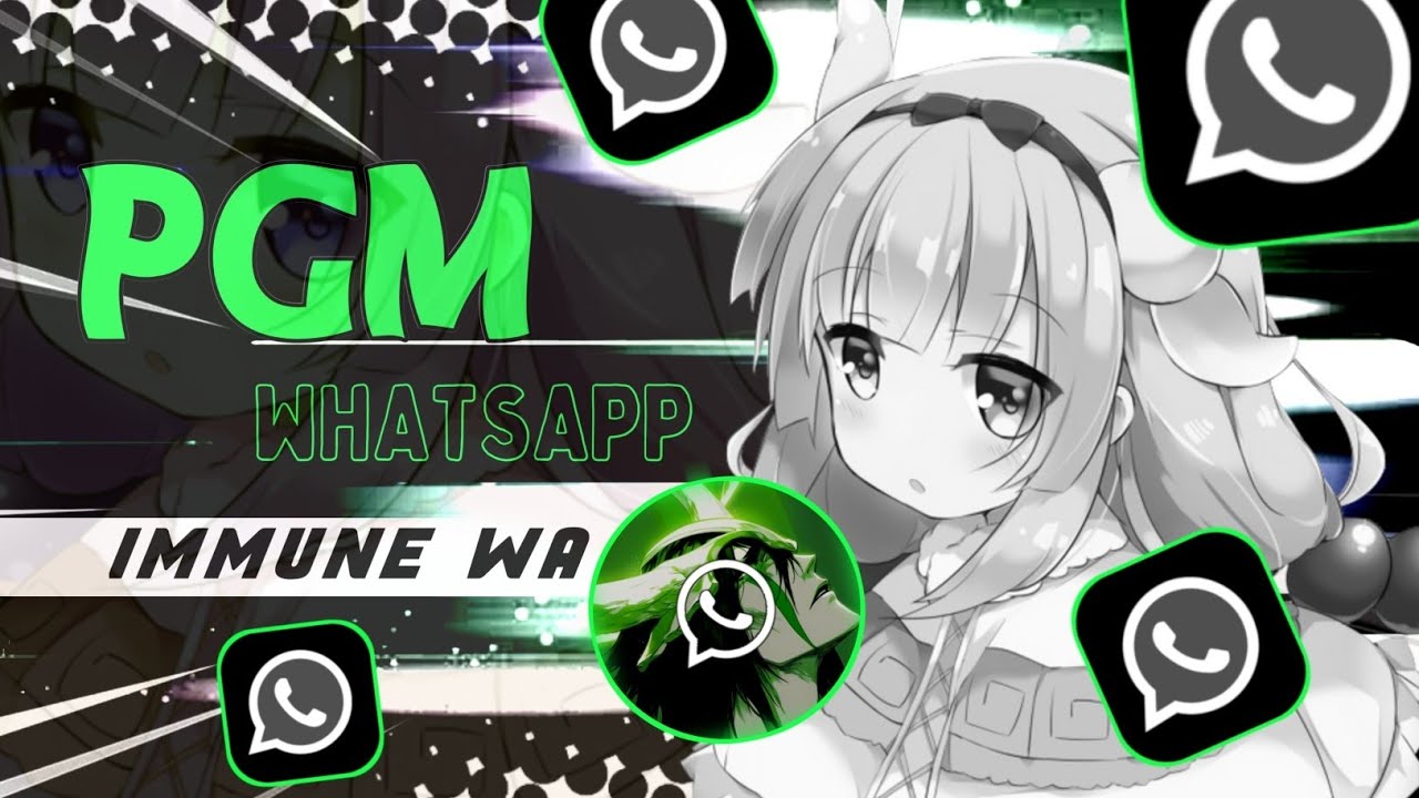 PGMWhatsApp Full Review ✅ | Best WhatsApp Mod | INSTALL ERROR FIX ‼️ PGMWhatsApp New Update | 2025