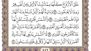 سورة يس القارئ ياسر الدوسري #القرآن_الكريم #المصحف #الحمدلله #متابعه_ولايك_فضلا_وليس_امرآ #لايك 