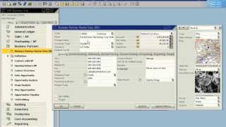 Sap Business One Customizing Data