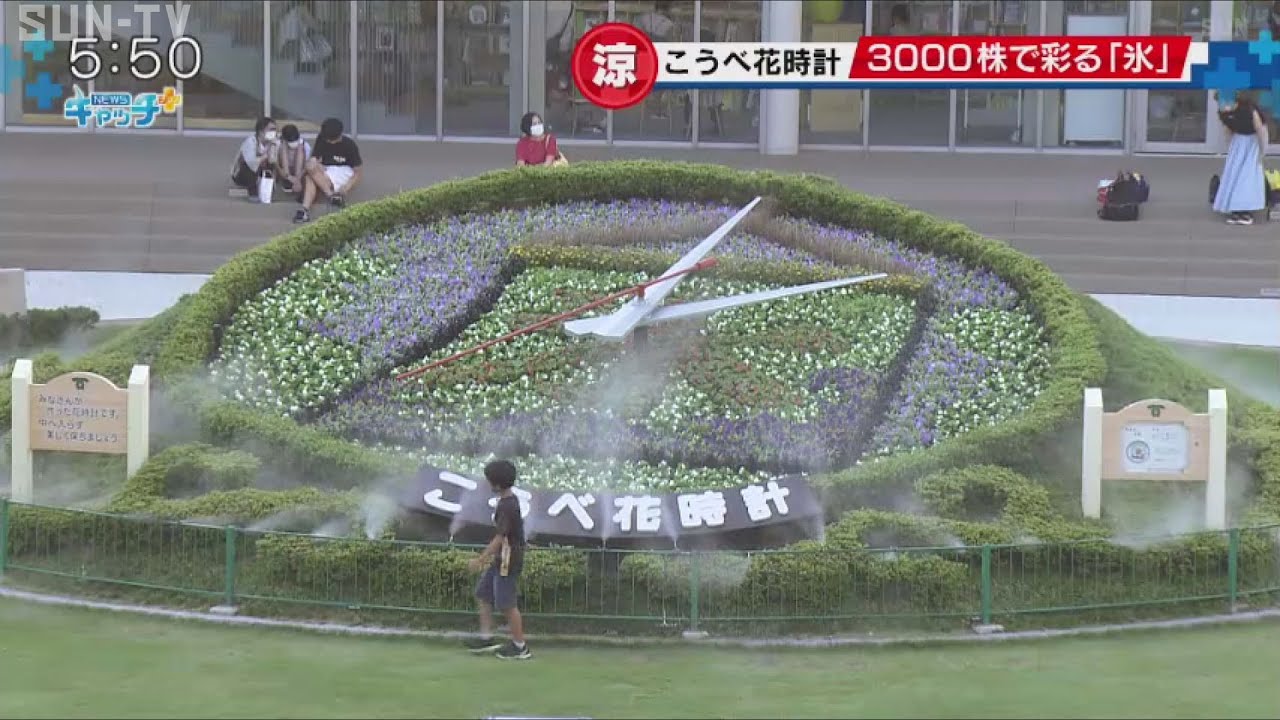 目で見て涼しいデザインに こうべ花時計植え替え - YouTube