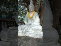 Nam Mô A Di Đà Phật, Cứu Nạn Chúng Sinh Bình An,,,