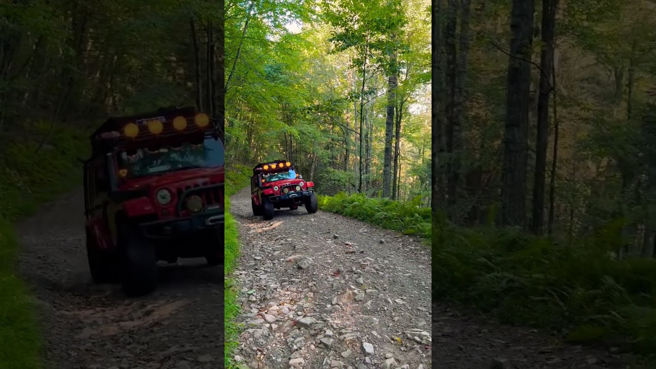 Off-roading PA Forests 