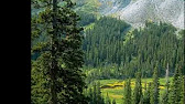 уолденский пруд фото