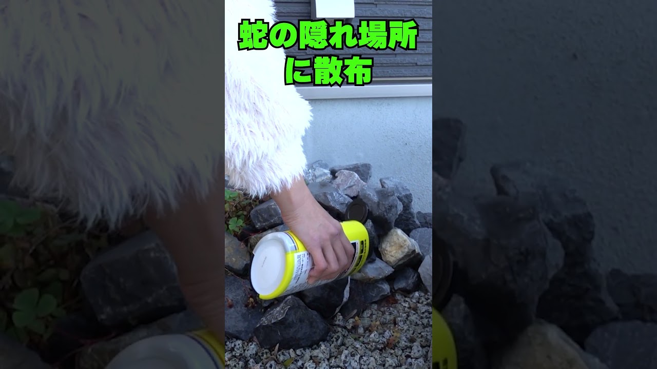 【ヘビ・トカゲ・ヤモリ対策】ヘビの 侵入防止対策 ヘビレス粒剤 トカゲやヤモリの侵入も防止 #害虫 #ヘビ #虫除け #shorts