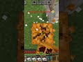 Untitled video