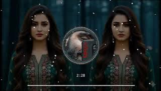 Dila va Dila va full song 🎵 ( showed reverb) sad song 