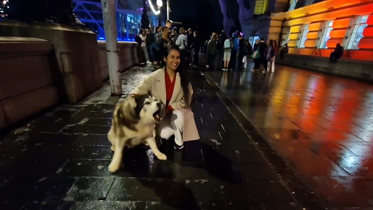 She Asked If He Bites, Then Got The Shock Of Her Life!