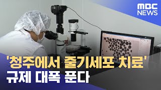 '청주에서 줄기세포 치료'‥규제 대폭 푼다 (2024.04.30/뉴스데스크/MBC충북)