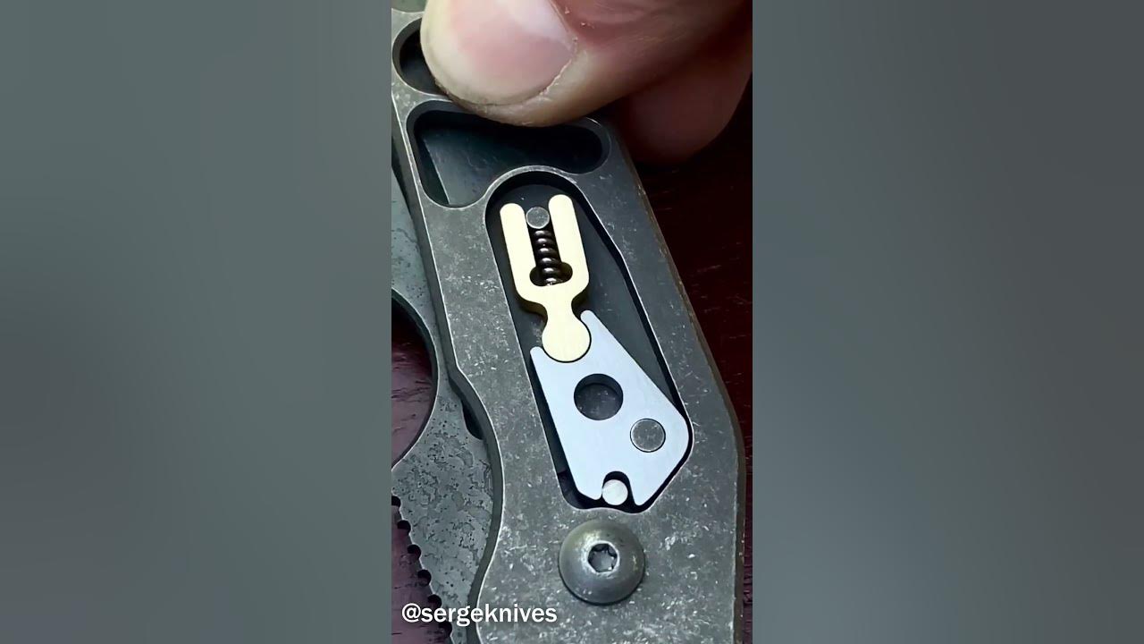 Absolutely wild new custom knife! Serge Knives Rook with Hawk Lock