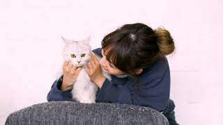 わたなべ麻衣×びょーちゃん わたなべ麻衣 検索動画12 わたなべ麻衣×びょーちゃん わたなべ麻衣 検索動画 12