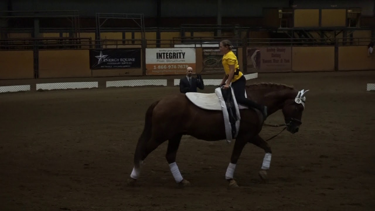 Westwind   Alexis Toone    Walk C 11 and older   Freestyle R1   2018 AEVA Provinicals