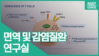 신의철 교수님 | 면역 및 감염질환 연구실 Prof. Shin, Eui-Cheol | Laboratory of Immunology & Infectious Diseases