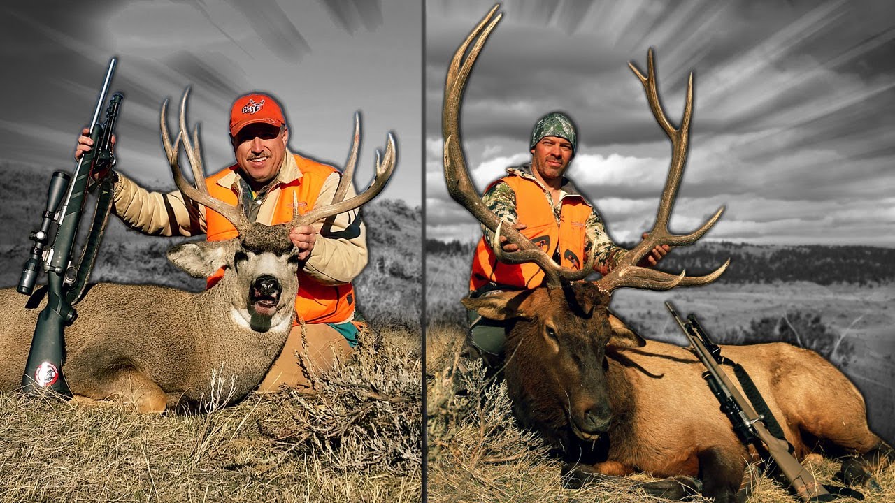 Two for One! Elk hunting and deer hunting in Montana YouTube