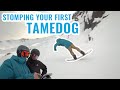 Live coaching learning your first tamedog front flip