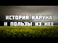 История Каруна и пользы из нее 16.11.2018 || Абу Яхья Крымский