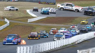 Muscle Car Cup Race 1 (Sports Sedans & Improved Production) Baskerville Historics 2025 Spins IPRA