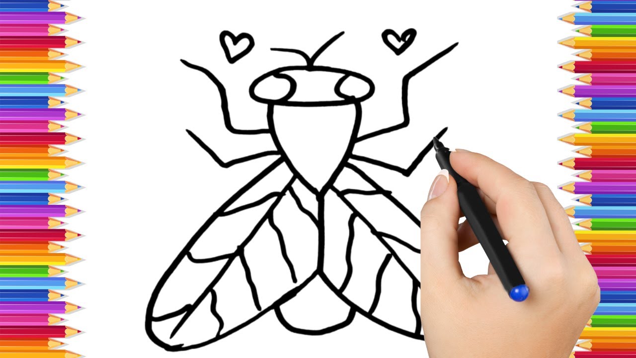 How To Draw cute fly Drawing, Painting & Coloring For Kids and Toddlers_ Child Art 🐋🌈🎨