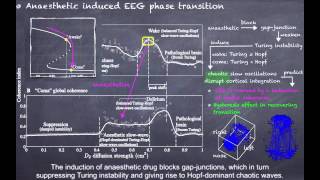 [Neuroscience - Cortical Modelling] EEG Phase Coherence