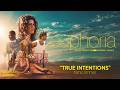 True Intentions (S03E06)