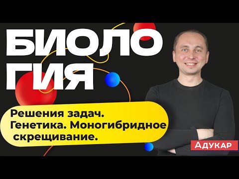 Генетика: моногибридное скрещивание (решения задач)  | Биология ЦТ