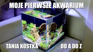 My First Cheap Cube Aquarium from A to Z