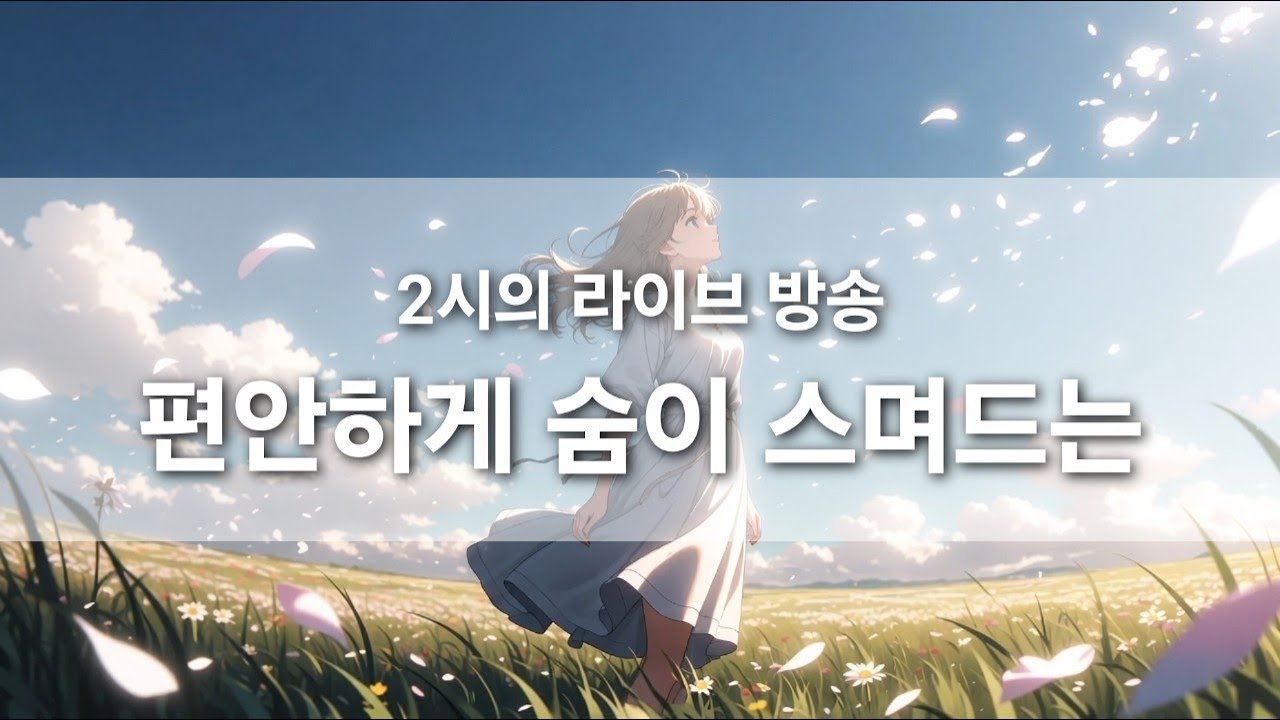 [실시간] 감성발라드 𝐏𝐥𝐚𝐲𝐥𝐢𝐬𝐭 “8시간 라이브♬” | 감성 발라드・R&B・Pop Groove 틀어만 놓으세요 일정한 감성음악