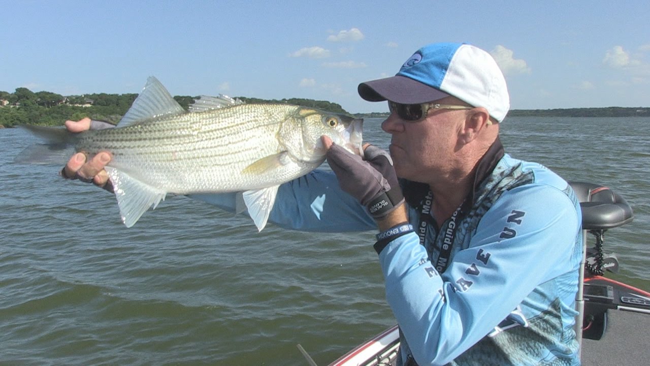 FOX Sports Outdoors SouthWEST 36 2016 Lake Belton Texas Hybrid