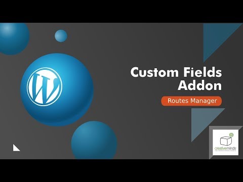 Routes Manager Custom Fields Add-on | WordPress