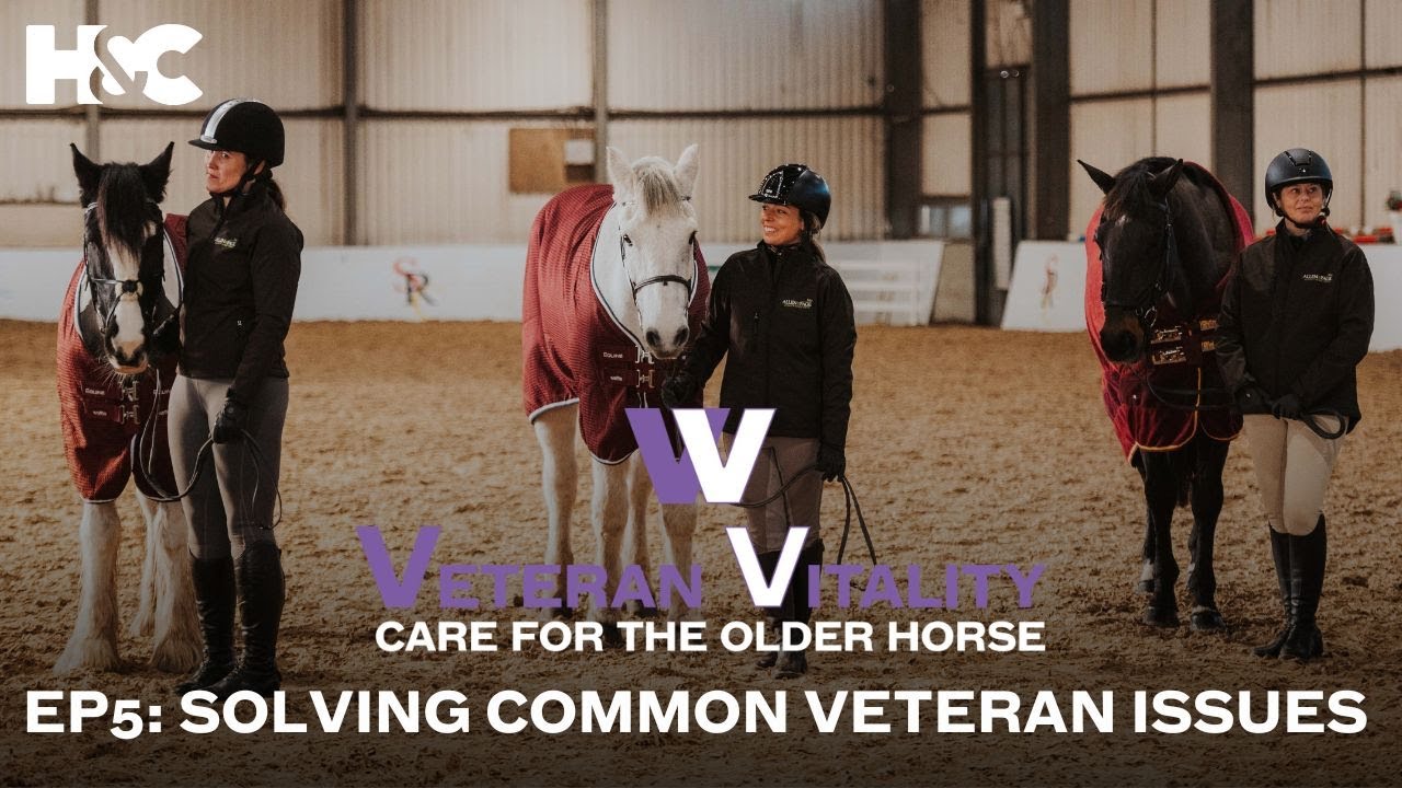 Veteran Vitality: Care for the Older Horse Ep5 - Solving Common Veteran Issues