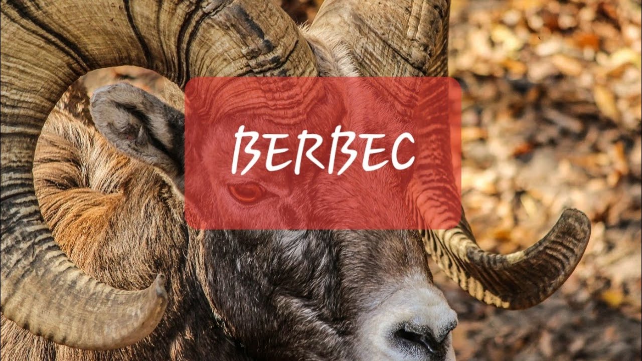BERBEC