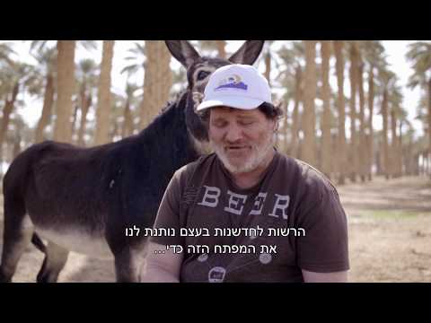 וִידֵאוֹ: מקולביאקי ועד פלמבה: אורחי מסלניצה במוסקבה ילמדו את ההיסטוריה הגסטרונומית של הבירה