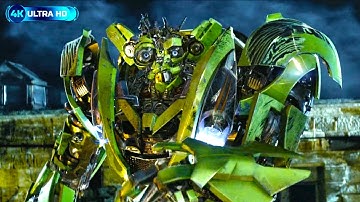 Skids And Mudflap Don