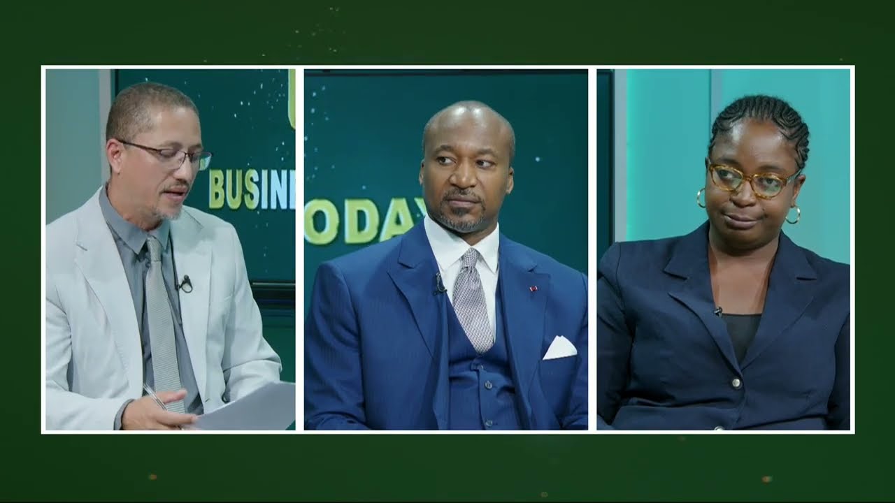 Interview sur la coopération entre le Congo et la Namibie