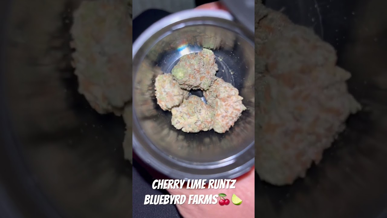 Cherry Lime Runtz 🍒🍋‍🟩🔥 