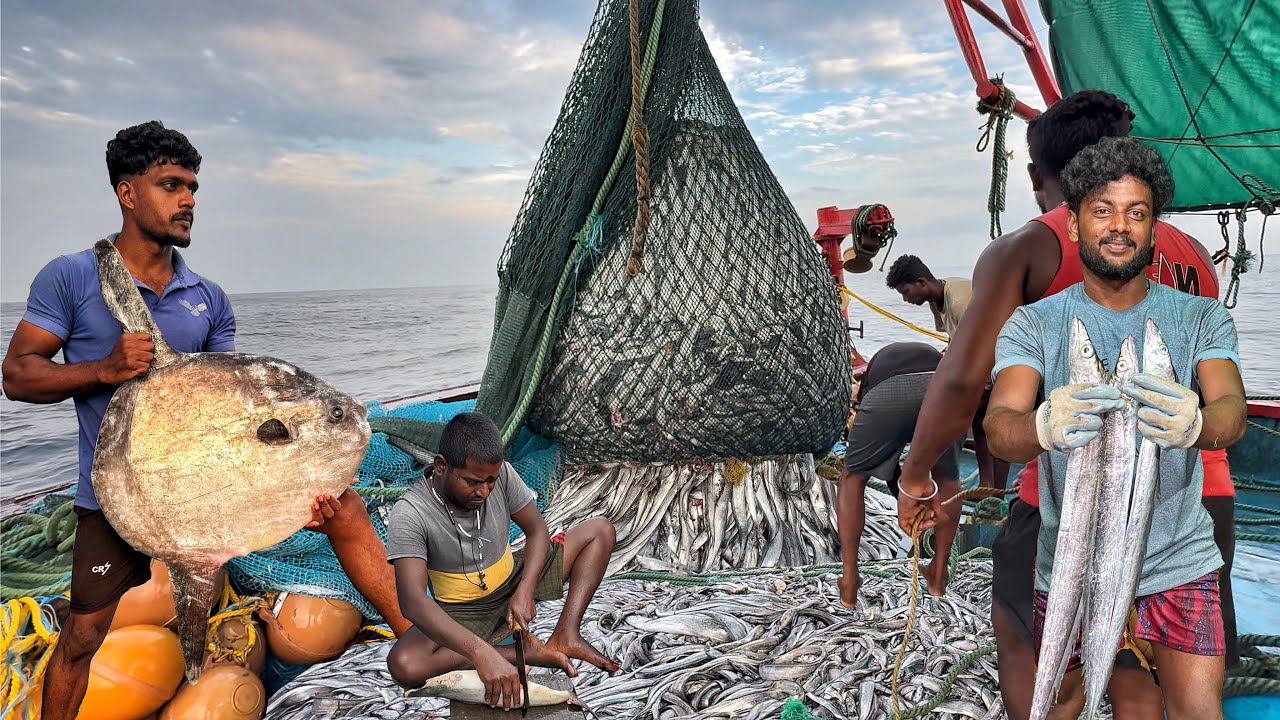 Wow! ⚓🐟 The Epic First Day: Fishermen Conquer the Deep Ocean!