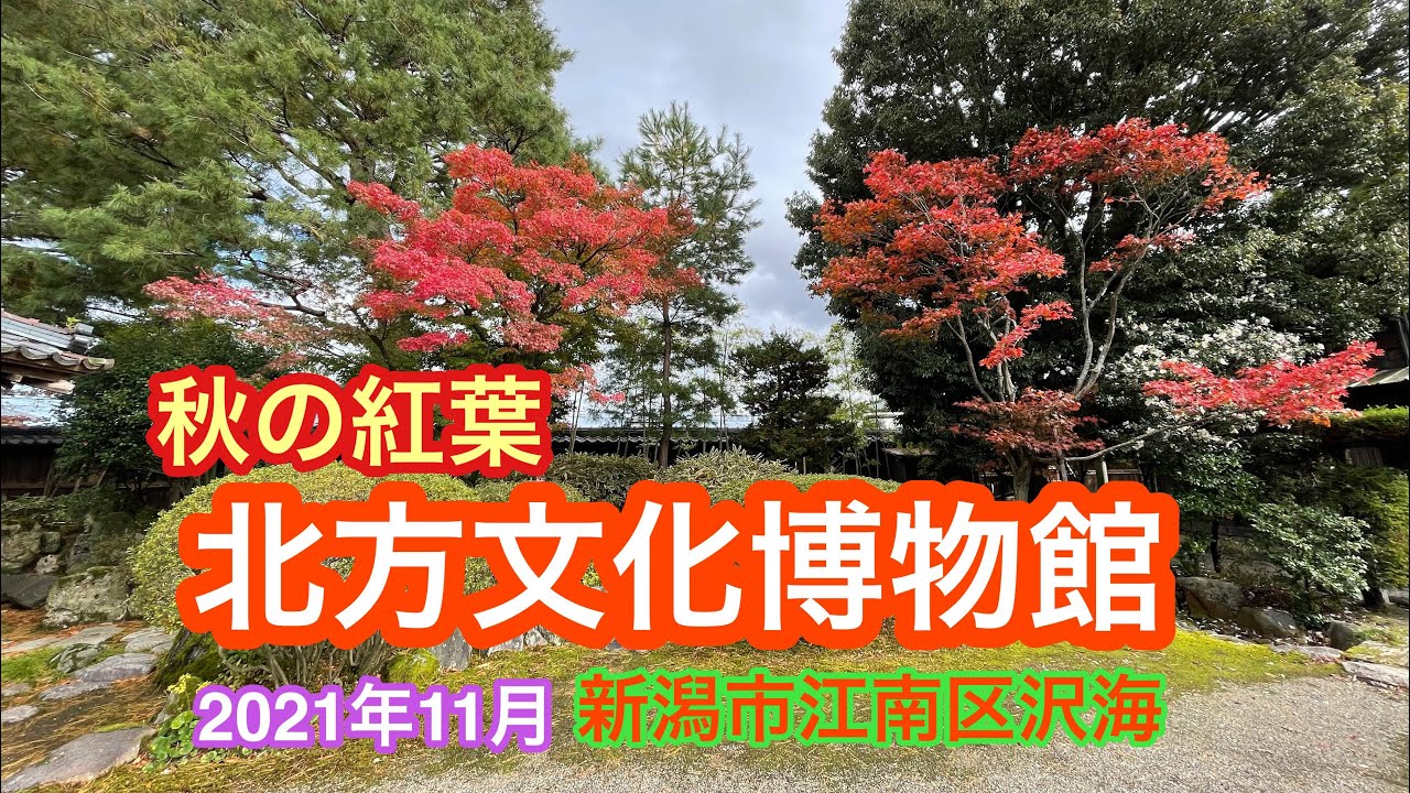 21年11月10日 秋の紅葉 北方文化博物館 新潟市江南区 Youtube 21年11月10日 秋の紅葉 北方文化博物館 新潟市江南区 Youtube