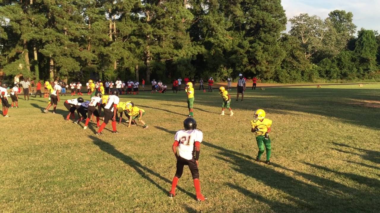 Gresham Park 2016 11U vs Shoals Creek Bengals
