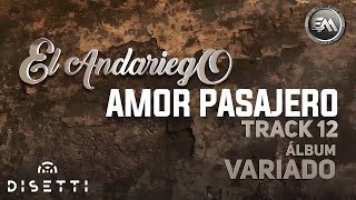 Video thumbnail of "El Andariego - Amor Pasajero | Música Popular"