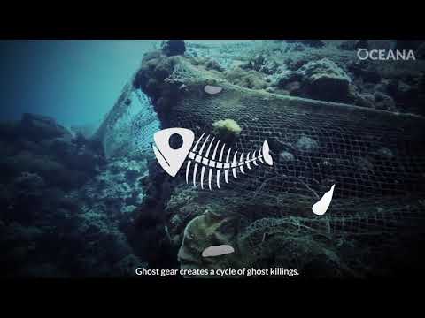 Ghost Gear: One Of The Spookiest Things In The Sea