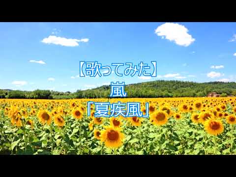 【ALTO Cover】嵐「夏疾風」カラオケ（FULL・歌詞つき）