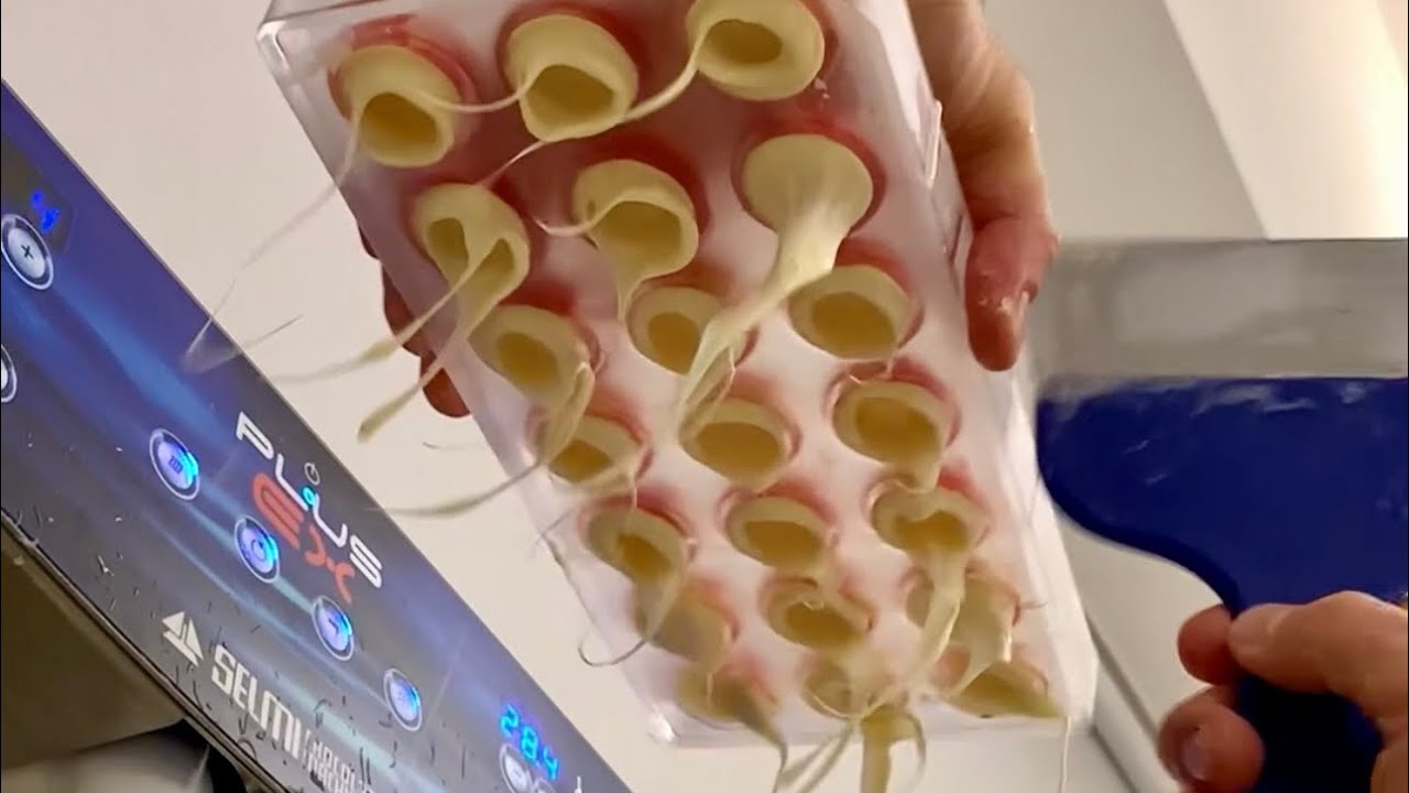 COME FARE: La camicia di cioccolato. Fantastiche praline lucide, moooolto lucide!