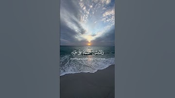 سورة الإنسان الآيات{٦-٩} #المصحف #quran #اكسبلور #راحة_نفسية #islamicfestival #لايك #حالات_واتس #due