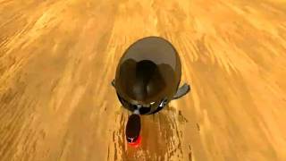 Bug Transform - 2006